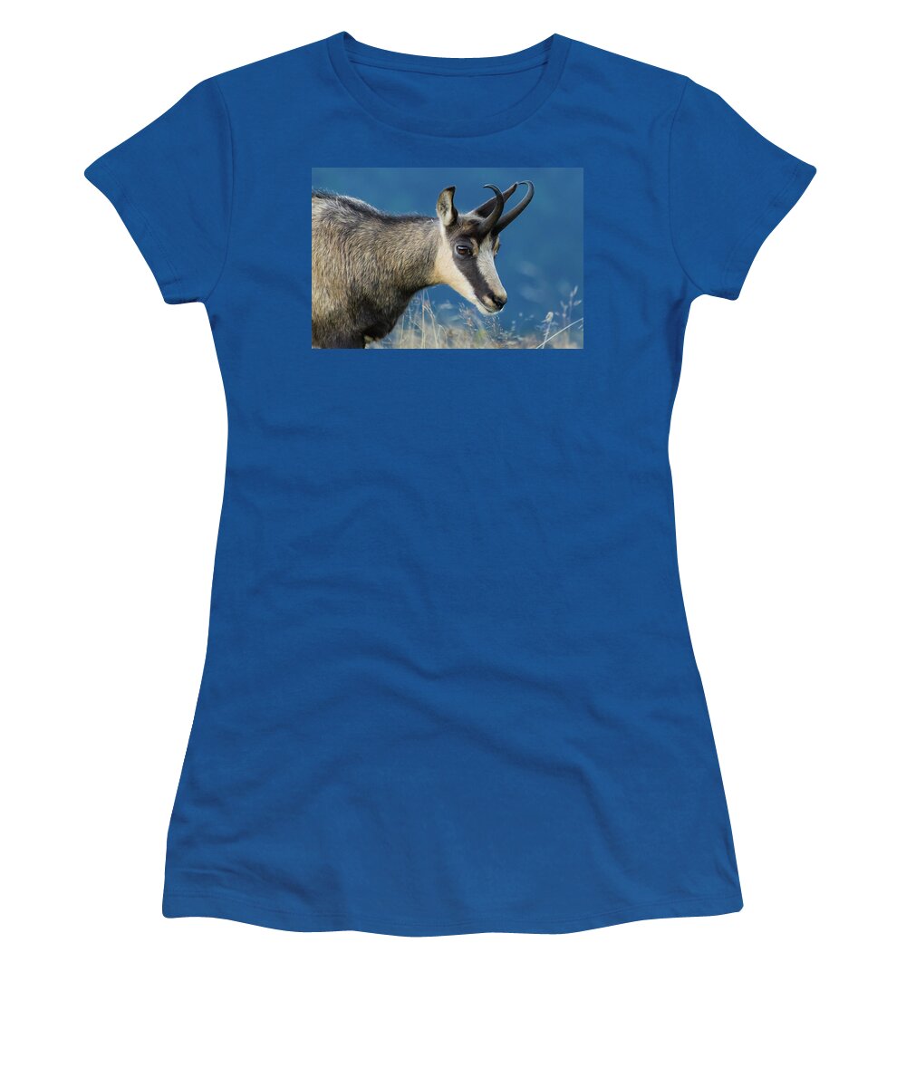 Chamois Women's T-Shirt featuring the photograph Chamois by Paul MAURICE