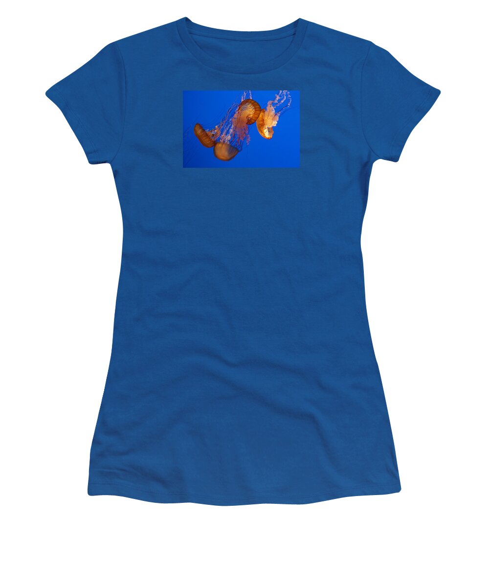 Chrysaora Fuscescens Women's T-Shirt featuring the photograph Dancing Sea Nettles by Venetia Featherstone-Witty