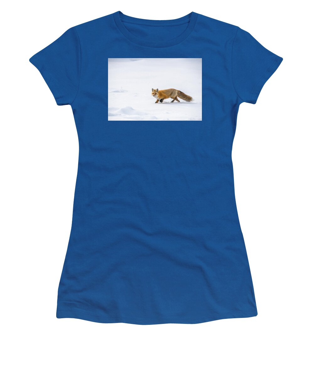 Red Fox Women's T-Shirt featuring the photograph Fun Fox Run by Yeates Photography