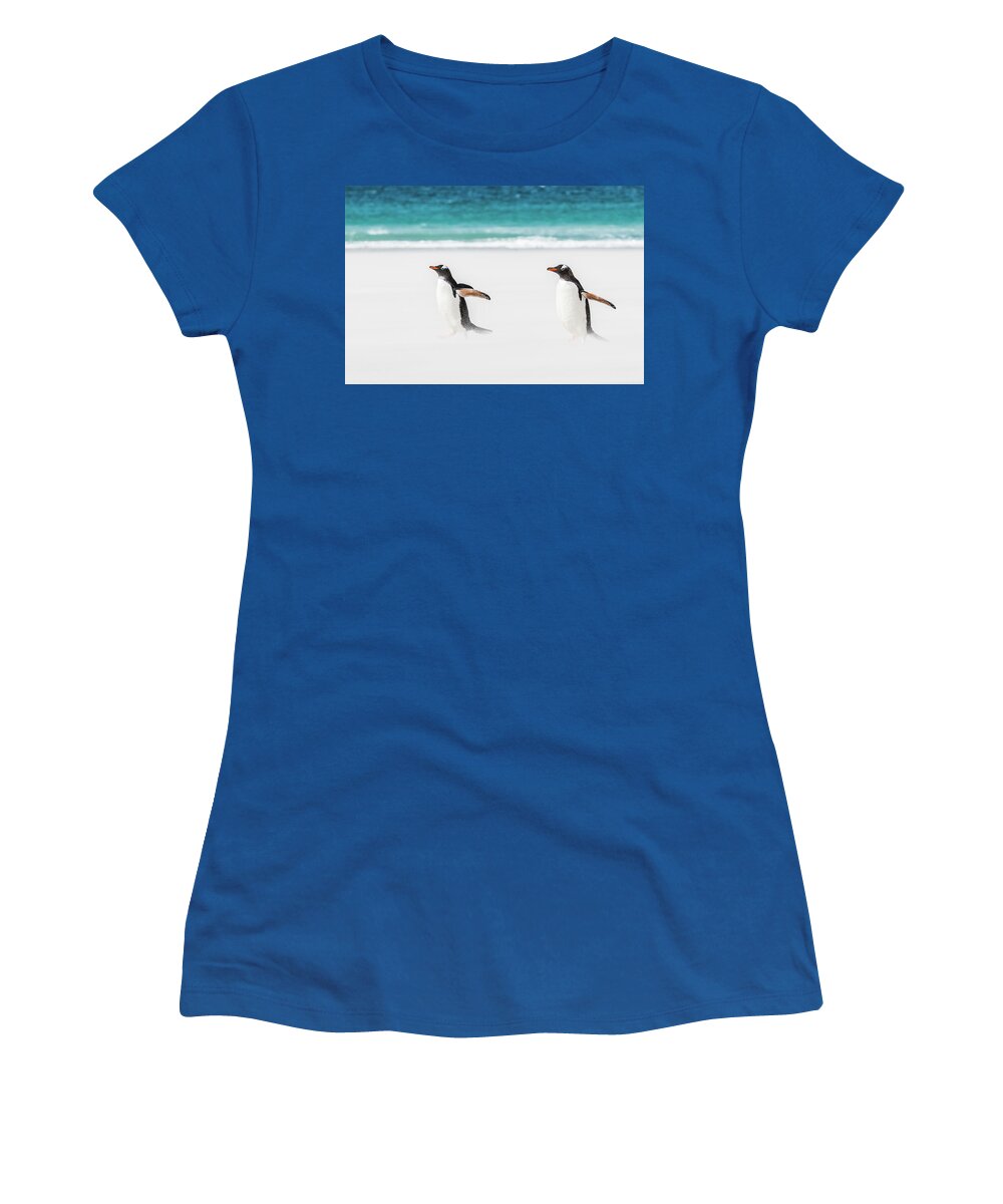 The Falklands Women's T-Shirt featuring the photograph Gentoo penguins caught in a sand storm. by Usha Peddamatham