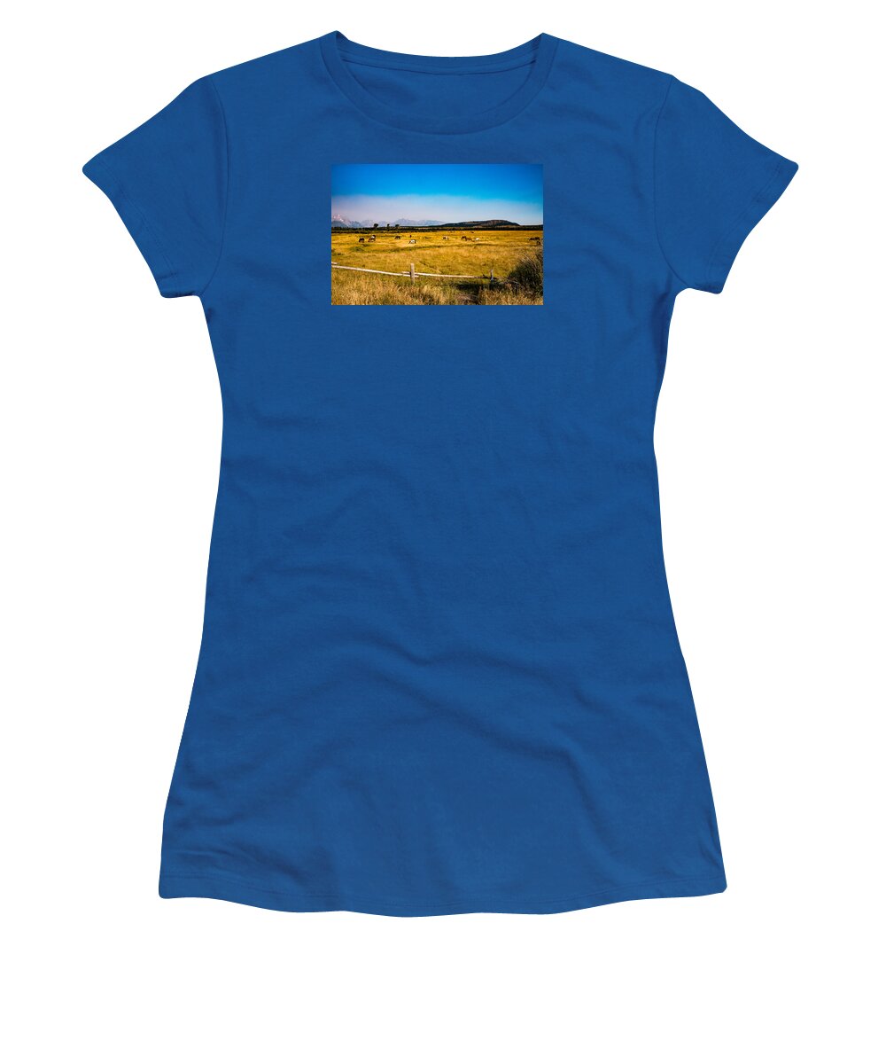 Horses Women's T-Shirt featuring the photograph Grazing Horses by Cathy Donohoue