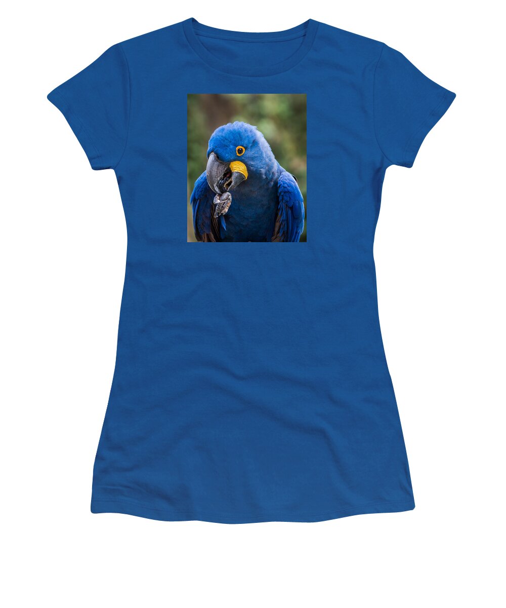 Macaw Women's T-Shirt featuring the photograph Hyacinth Macaw by Patti Deters