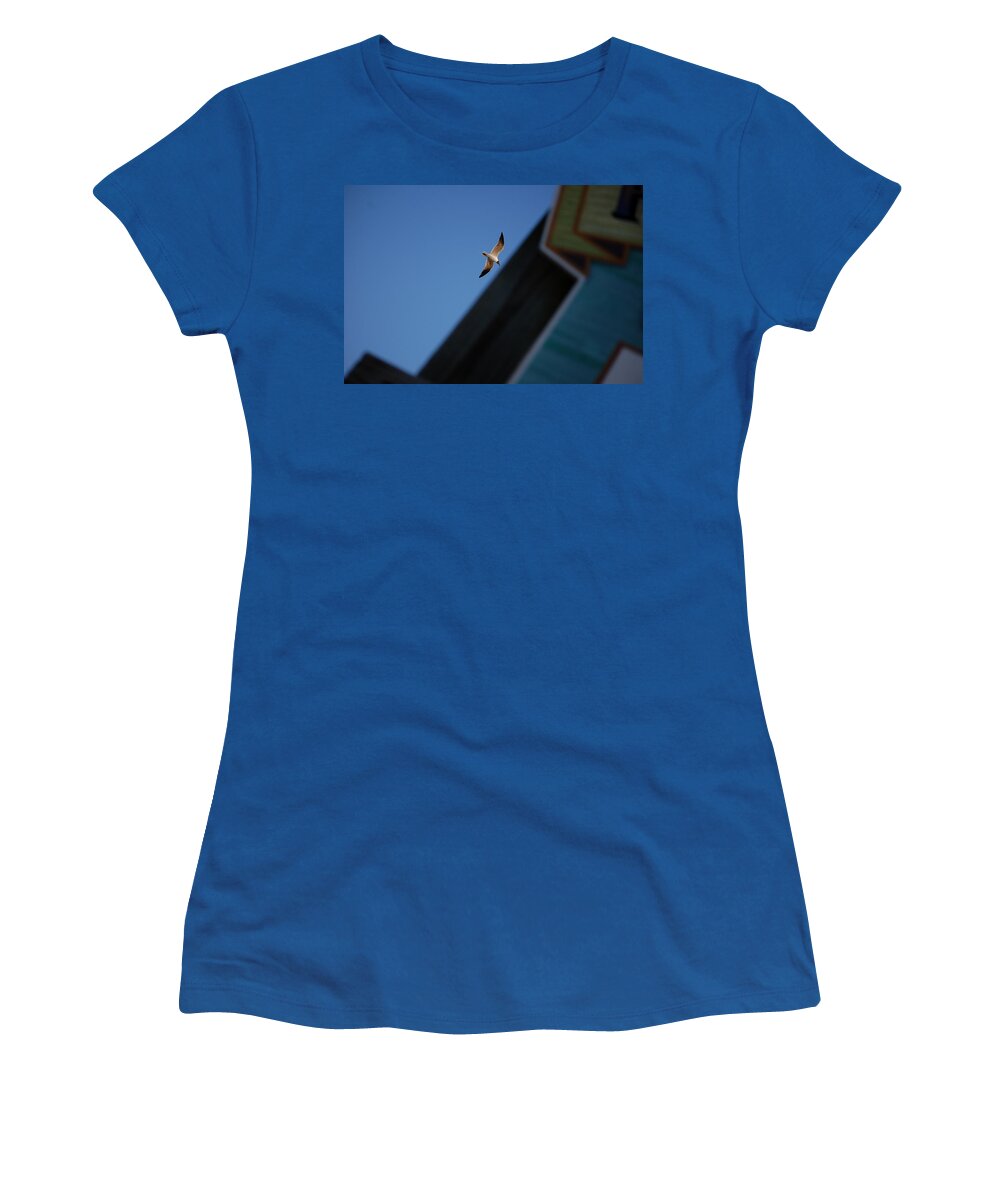 Seagull Women's T-Shirt featuring the photograph In Flight by Robert Meanor