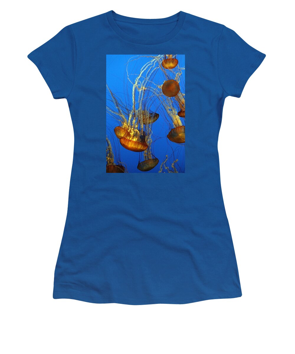 Animal Women's T-Shirt featuring the photograph Jellyfish Family by Marilyn Hunt