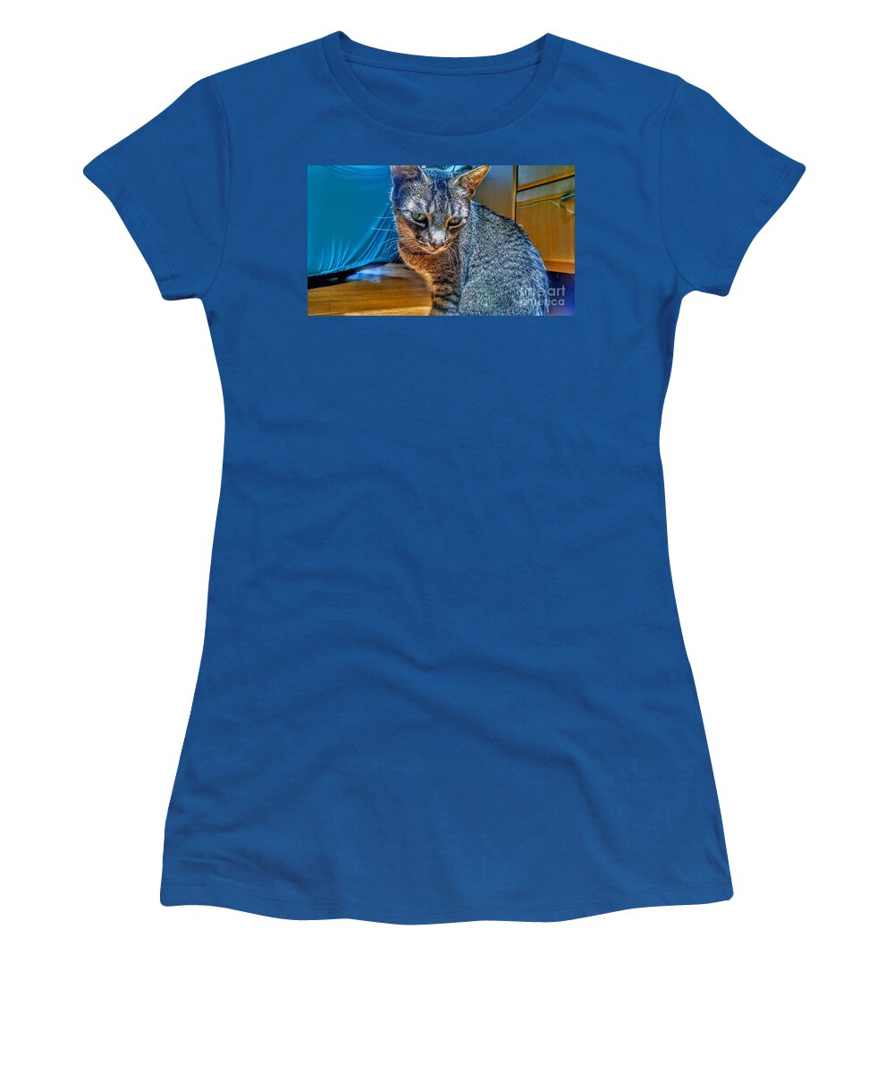 Cat Women's T-Shirt featuring the photograph Le Chat Bleu by Christopher Lotito