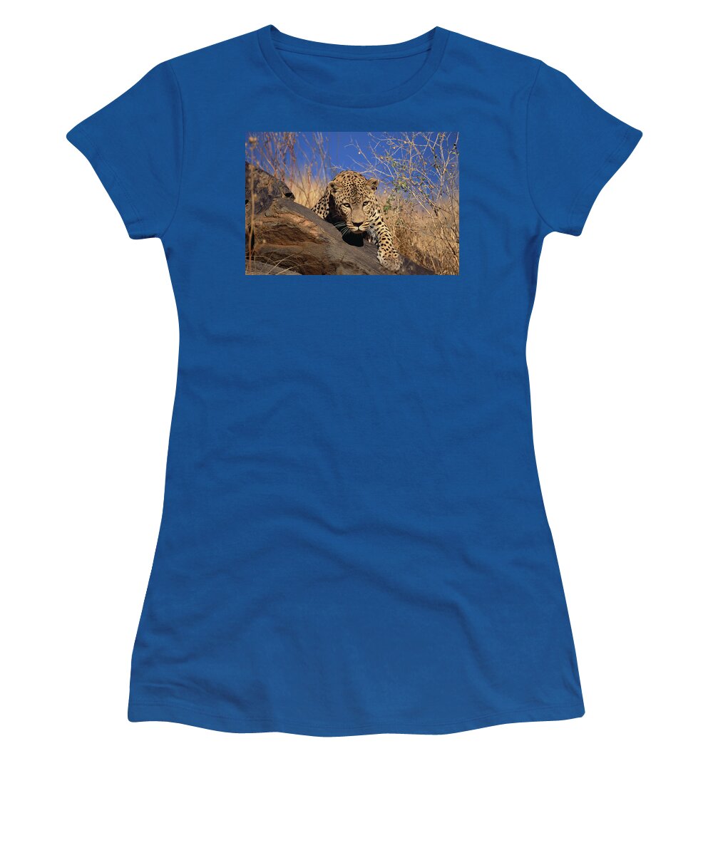 Mp Women's T-Shirt featuring the photograph Leopard Panthera Pardus Climbing by Konrad Wothe