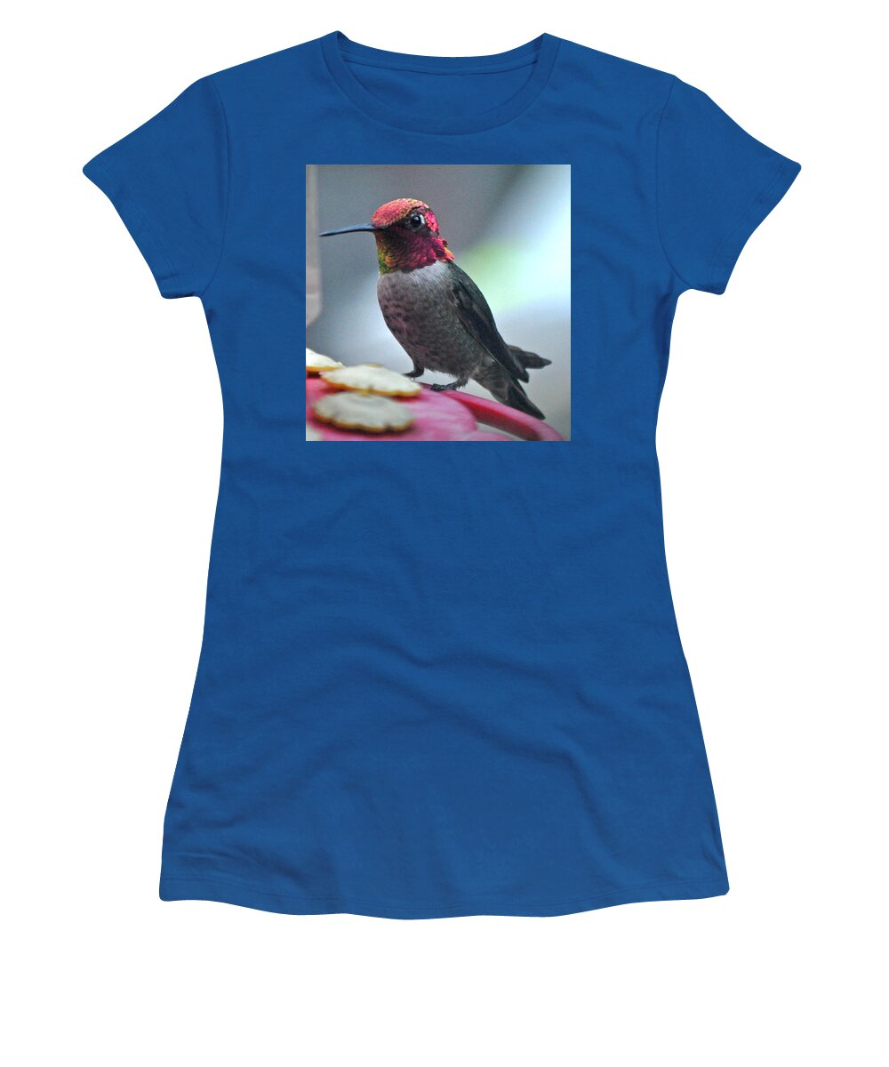 Animal Women's T-Shirt featuring the photograph Male Anna's Hummingbird On Feeder Perch by Jay Milo