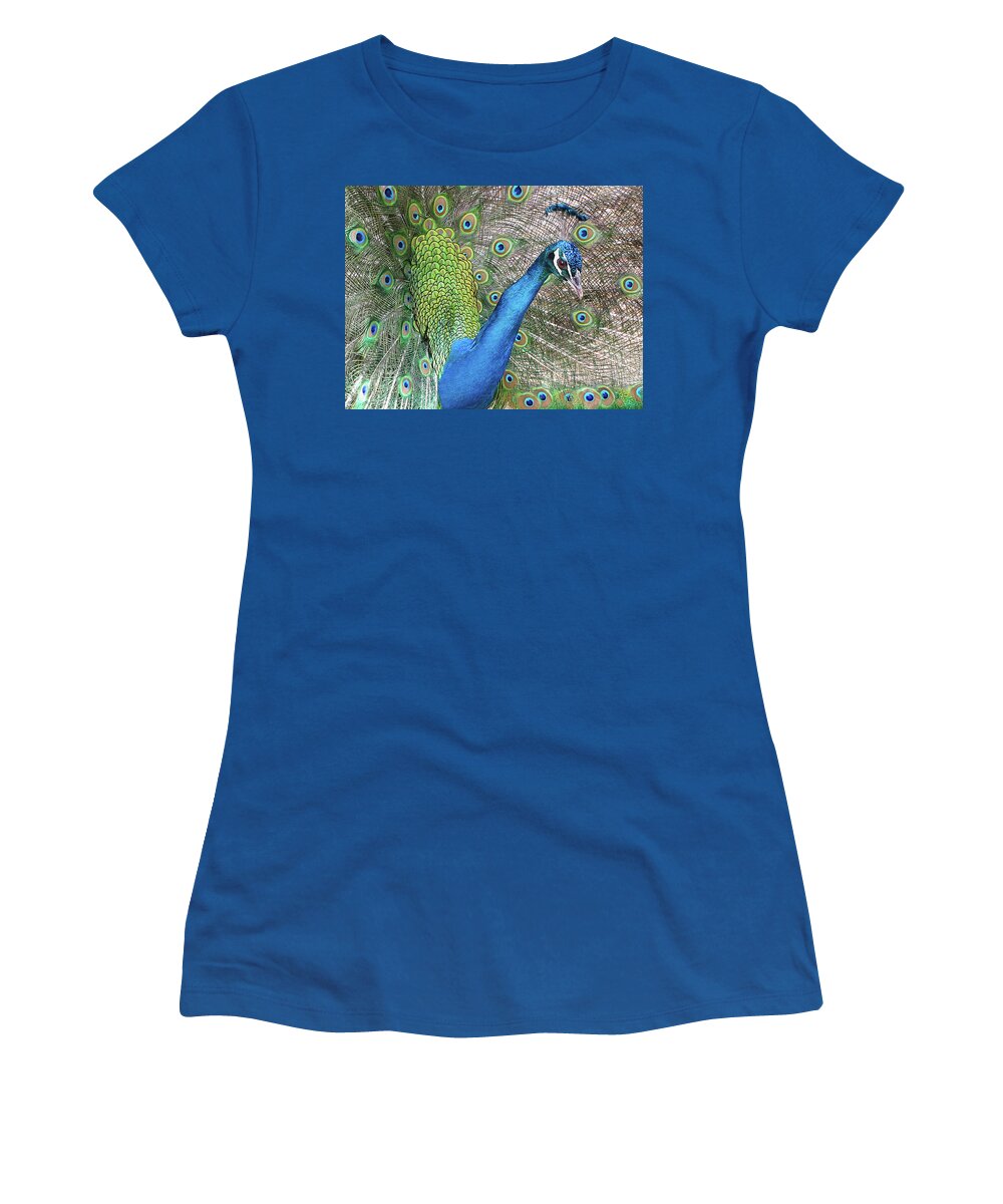 Peacock Women's T-Shirt featuring the photograph Peacock by Bob Slitzan