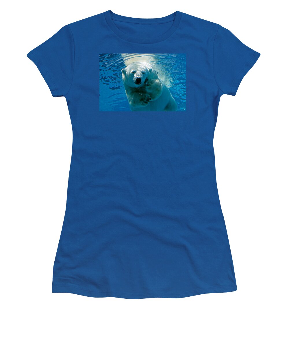 Polar Bear Women's T-Shirt featuring the photograph Polar Bear Contemplating Dinner by John Haldane