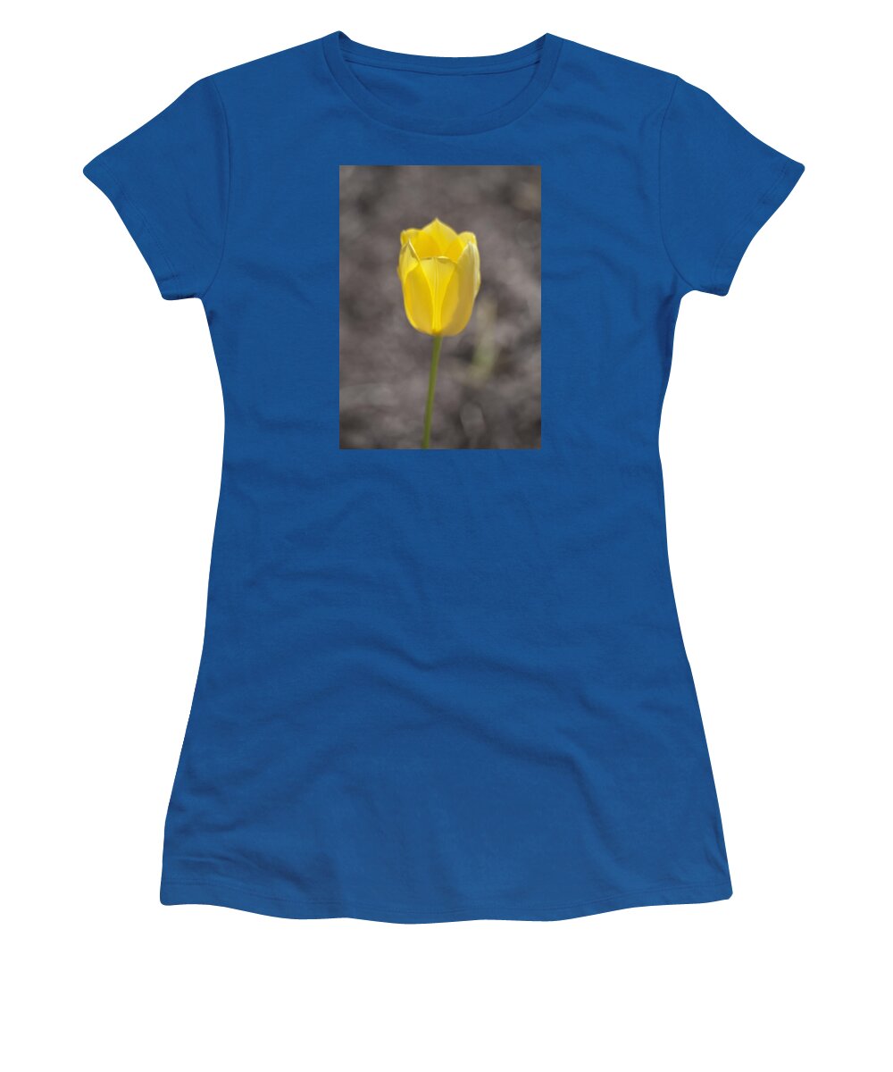 Tulip Women's T-Shirt featuring the photograph Soft and Yellow by Morris McClung