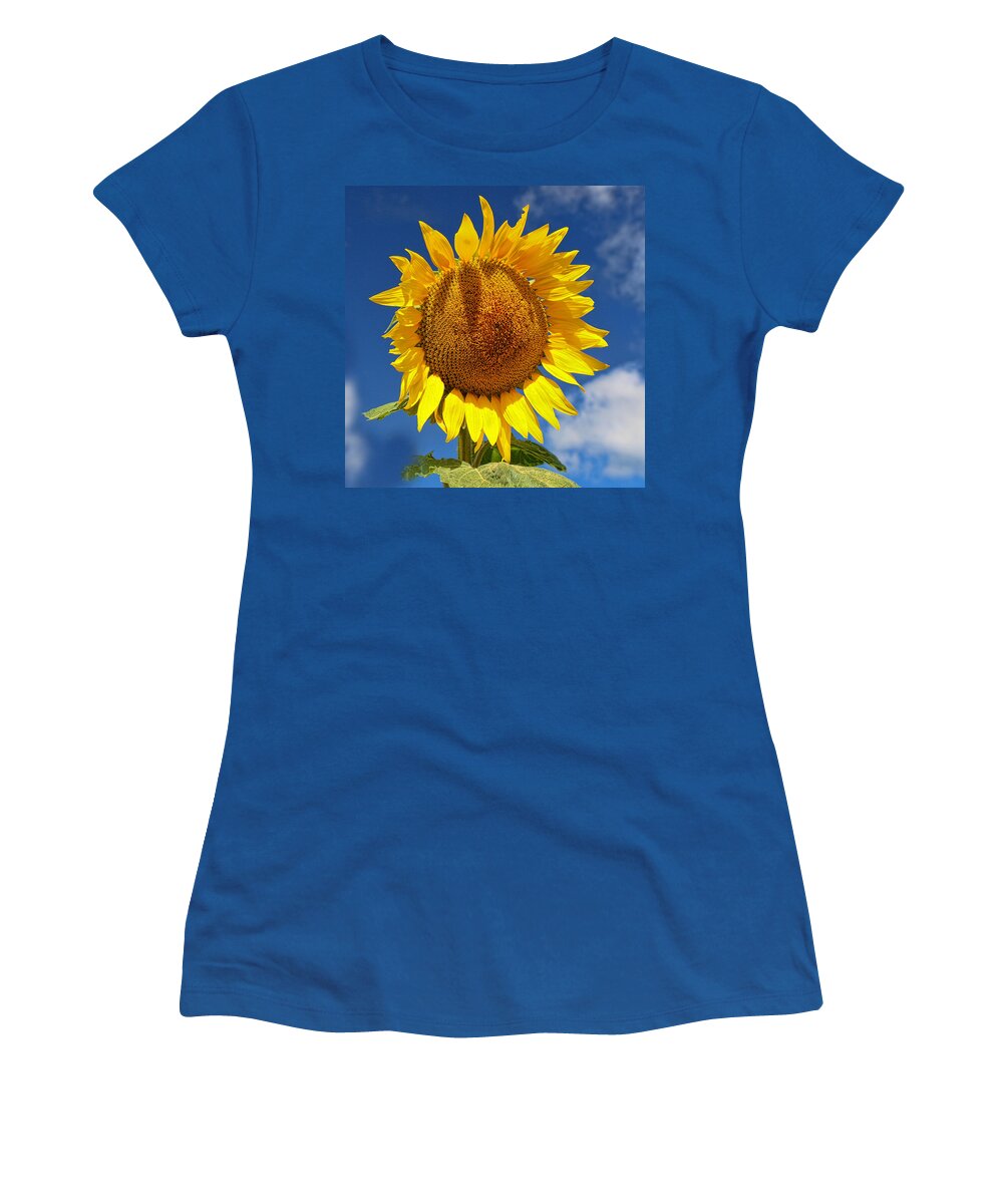 Yellow Women's T-Shirt featuring the photograph Sunflower Nirvana 15 by Allen Beatty