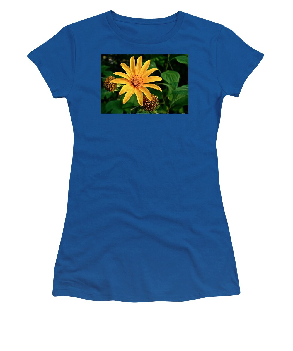 Flower Women's T-Shirt featuring the photograph Sunshine Cheerleader by Kathleen Scanlan