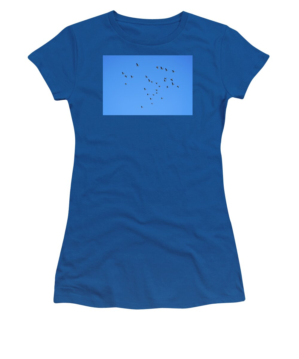 Landscape Women's T-Shirt featuring the photograph A Smattering Of Geese In Flight by Allan Van Gasbeck