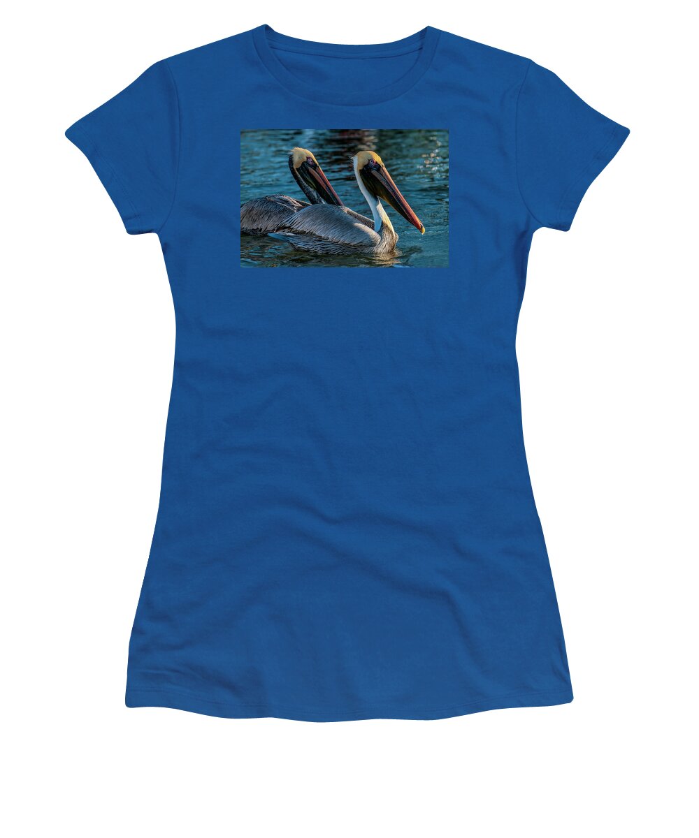 Birds Women's T-Shirt featuring the photograph American Brown Pelicans by Ginger Stein