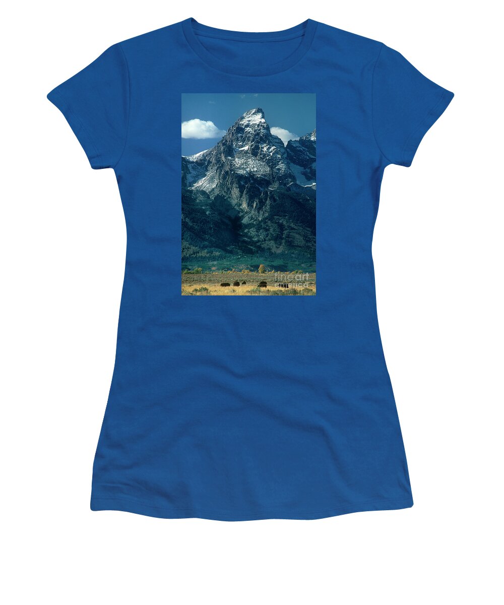 Dave Welling Women's T-Shirt featuring the photograph Bison Below The Tetons Grand Tetons Np Wyoming by Dave Welling