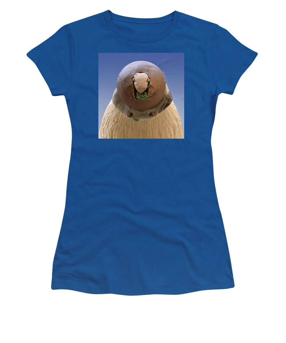 Animal Women's T-Shirt featuring the photograph Biting Midge, Ceratopogonidae Sp by Meckes/ottawa