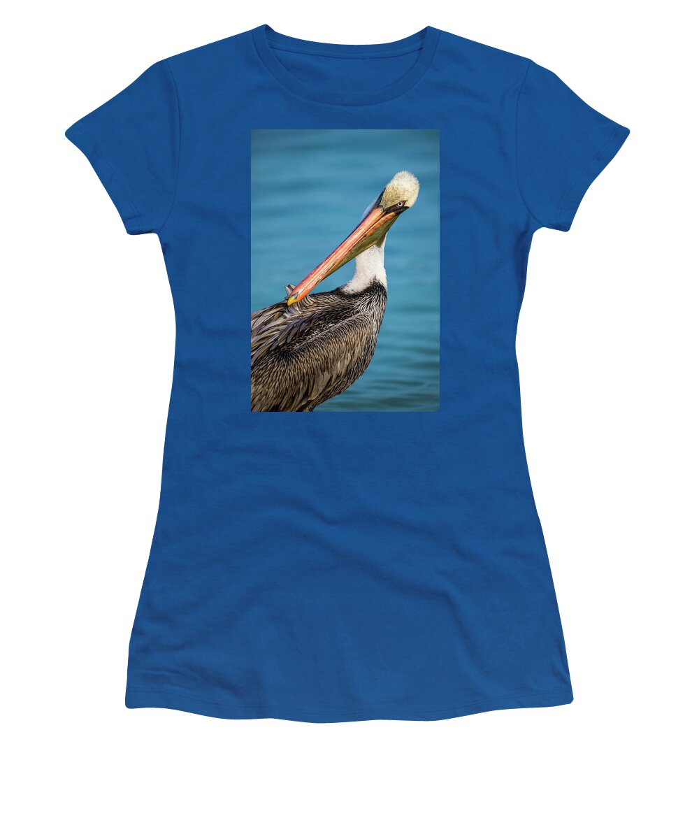 Animals Women's T-Shirt featuring the photograph Brown Pelican Preening On Santiago Island by Tui De Roy