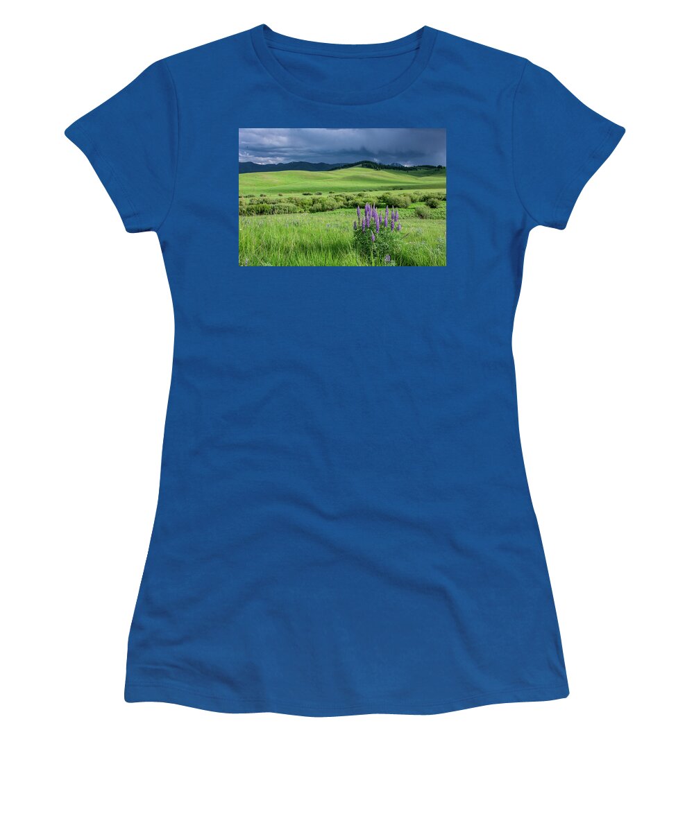 Lupine Women's T-Shirt featuring the photograph Evening on the Montana Range by Douglas Wielfaert