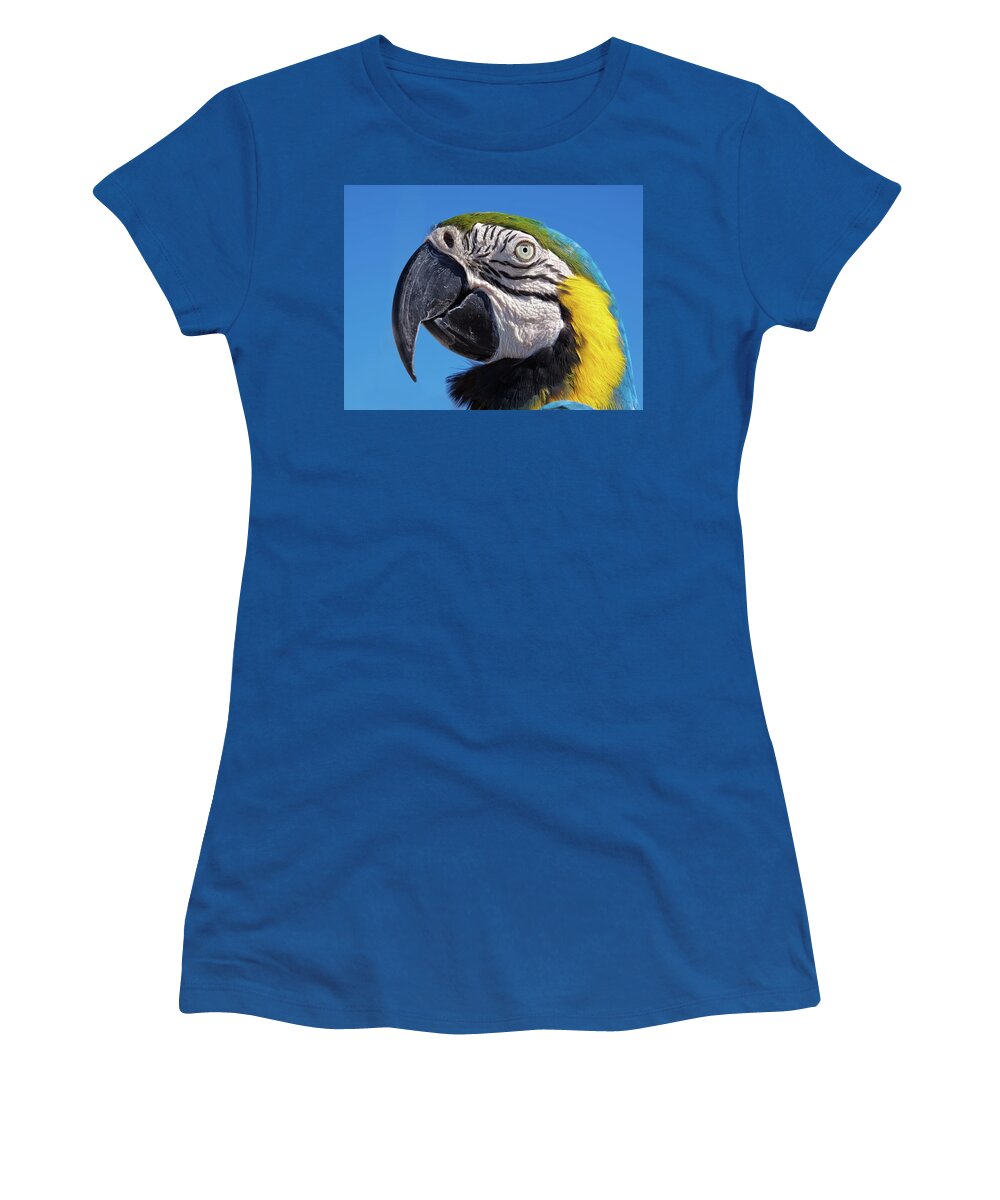 Parrot Women's T-Shirt featuring the photograph Eye contact - Colorful parrot's head by Tatiana Travelways