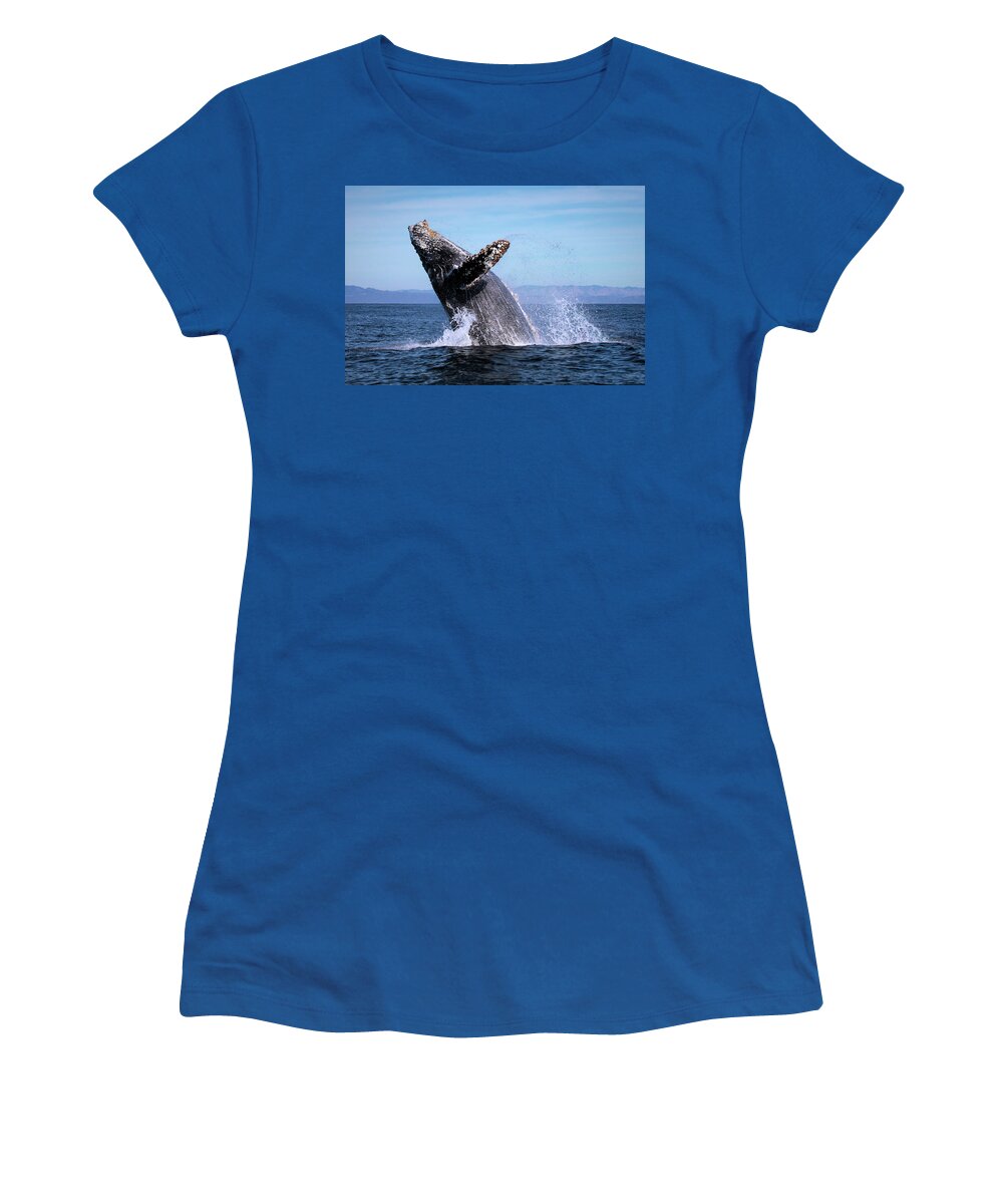 California Women's T-Shirt featuring the photograph Humpback Breaching - 01 by Cheryl Strahl