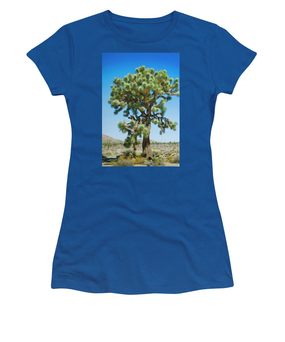 Landscape Women's T-Shirt featuring the photograph Joshua by Jay Heifetz