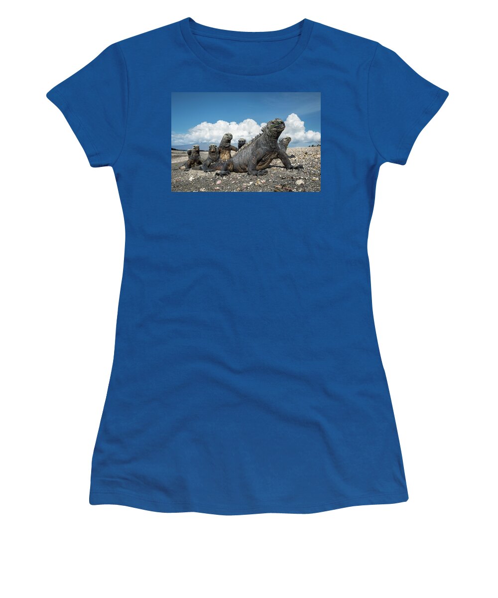 Animal Women's T-Shirt featuring the photograph Marine Iguanas Basking At Punta Espinosa by Tui De Roy