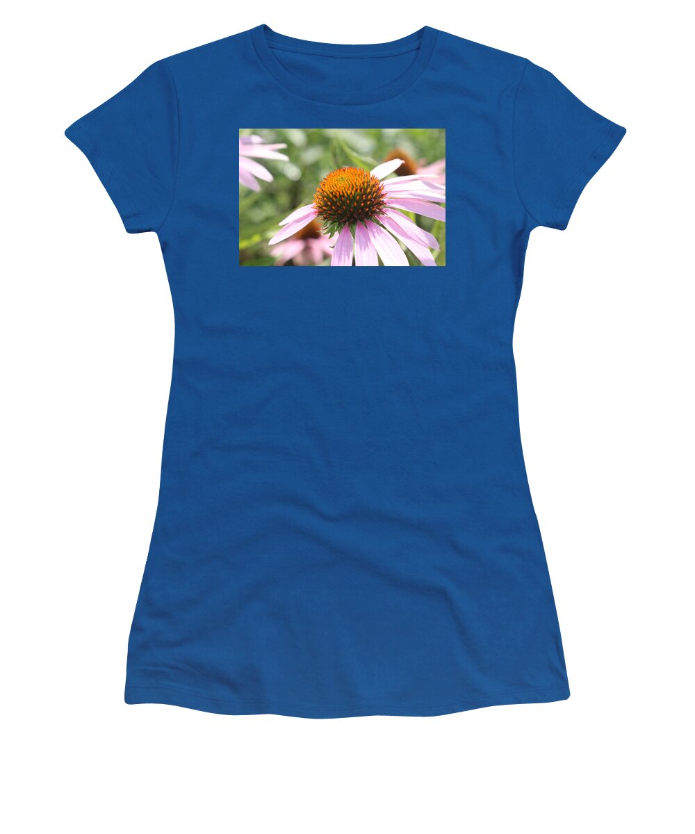 Purple Women's T-Shirt featuring the photograph Purple Coneflower Bloom and Petals by Christopher Lotito