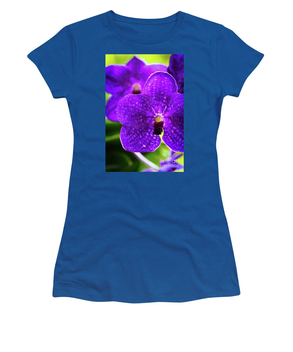 Background Women's T-Shirt featuring the photograph Purple Orchid Flowers #17 by Raul Rodriguez