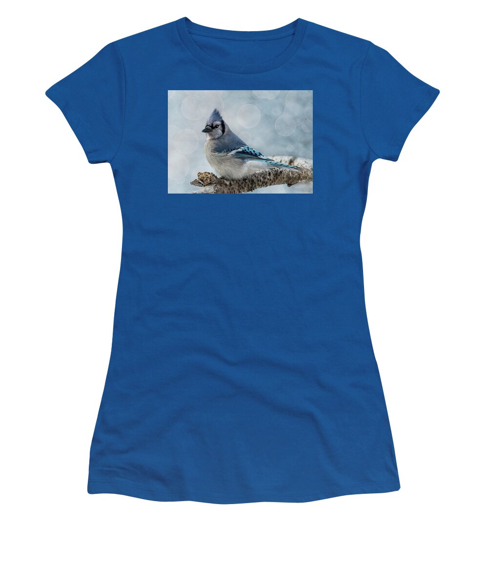 Songbird Women's T-Shirt featuring the photograph Blue Jay Perch by Patti Deters