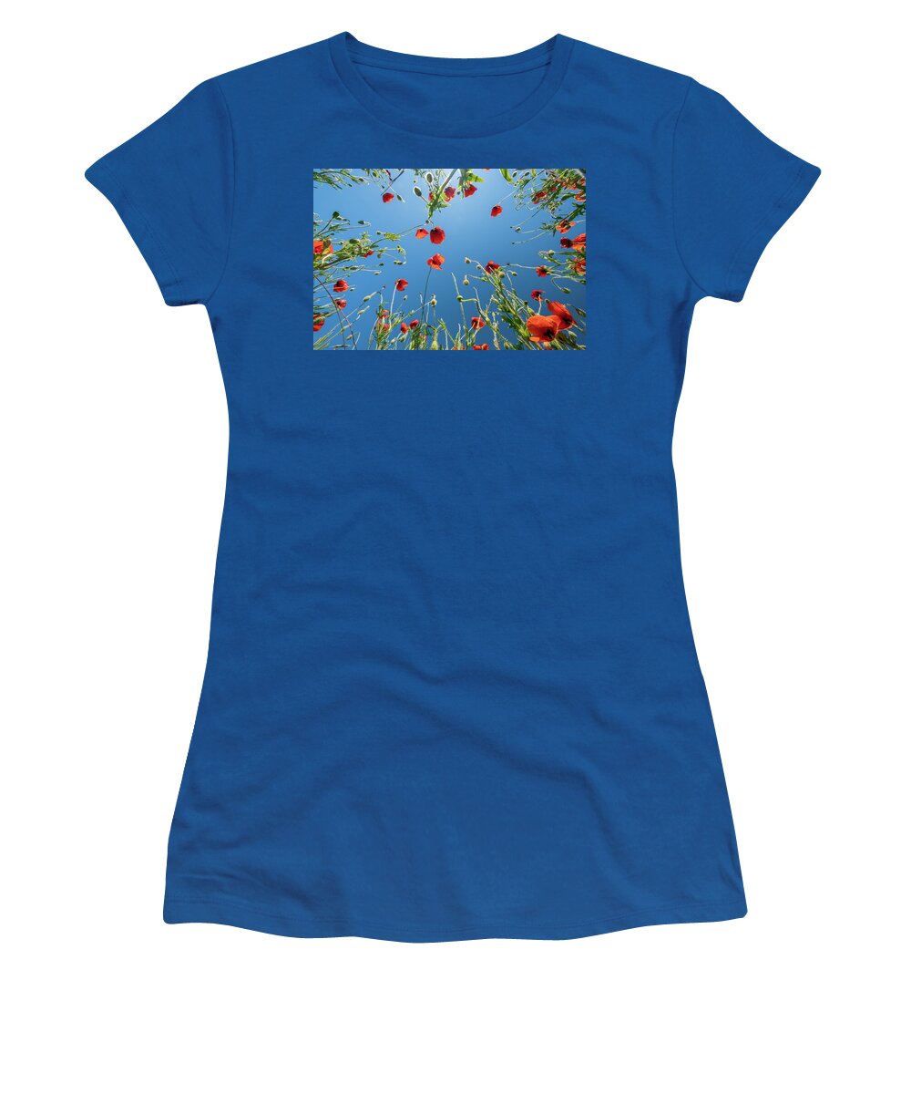 Flower Women's T-Shirt featuring the photograph Bottom view of red poppies and blue sky by Mikhail Kokhanchikov