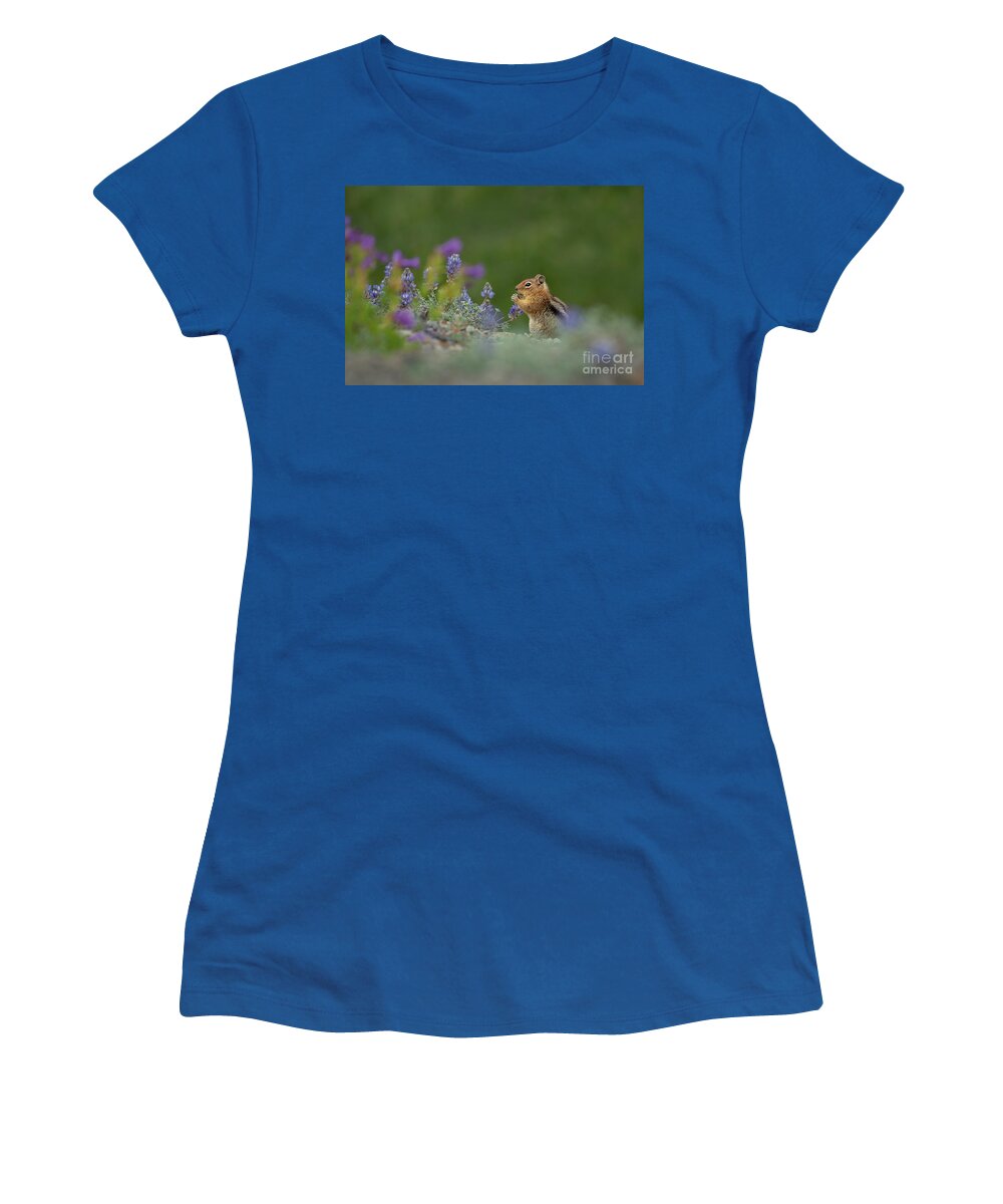 Callospermophilus Saturatus Women's T-Shirt featuring the photograph Cascade Golden-mantled Ground Squirrel eating Lupines by Nancy Gleason
