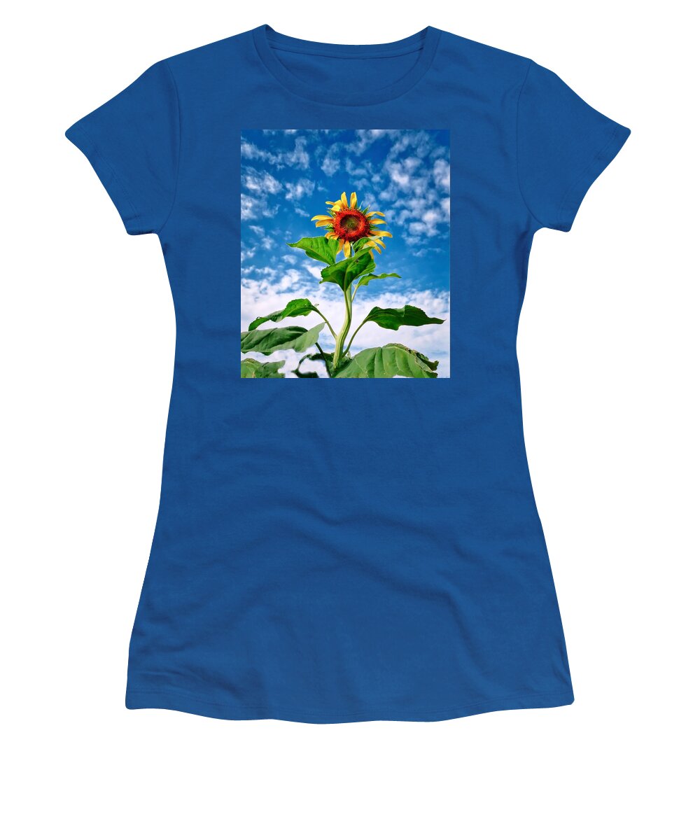 Yellow Women's T-Shirt featuring the photograph Dancing Desert Sunflower by Judy Kennedy