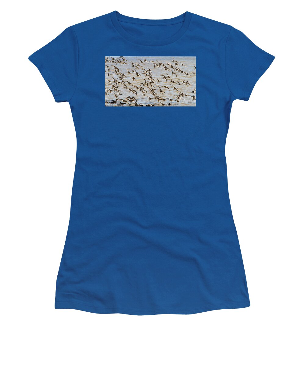 Birds Women's T-Shirt featuring the photograph Diagonal Takeoff by Jean Noren