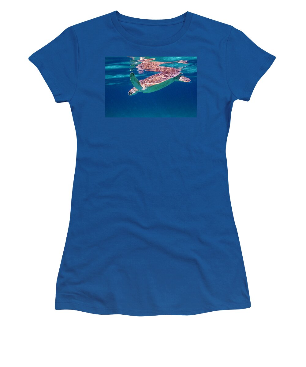 Animals Women's T-Shirt featuring the photograph Going Down by Lynne Browne