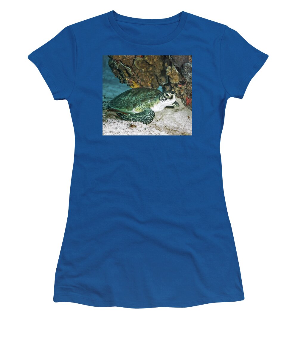 Turtle Women's T-Shirt featuring the photograph Green Sea Turtle by Susan Hope Finley