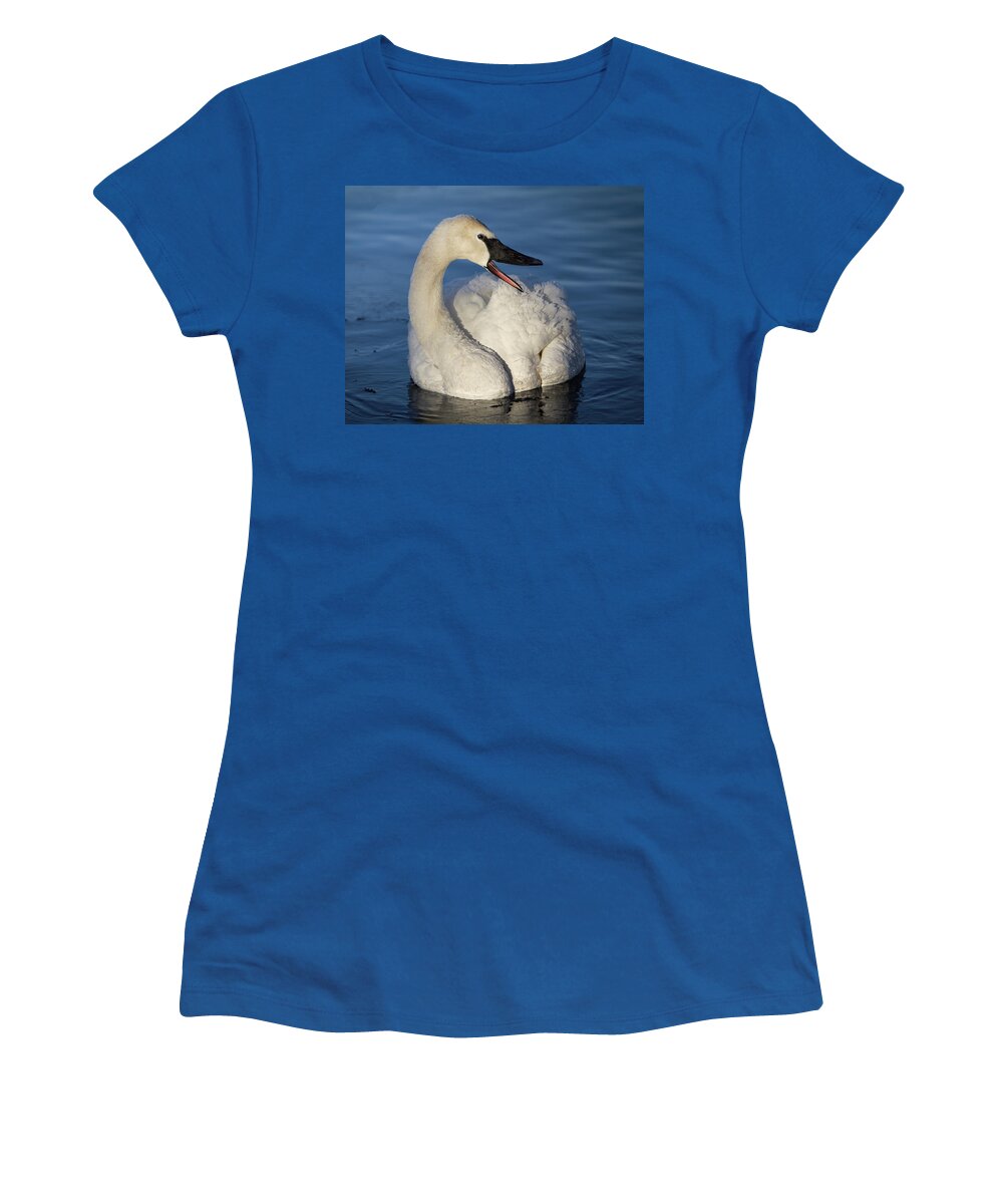 Swan Women's T-Shirt featuring the photograph Happy Swan by Patti Deters