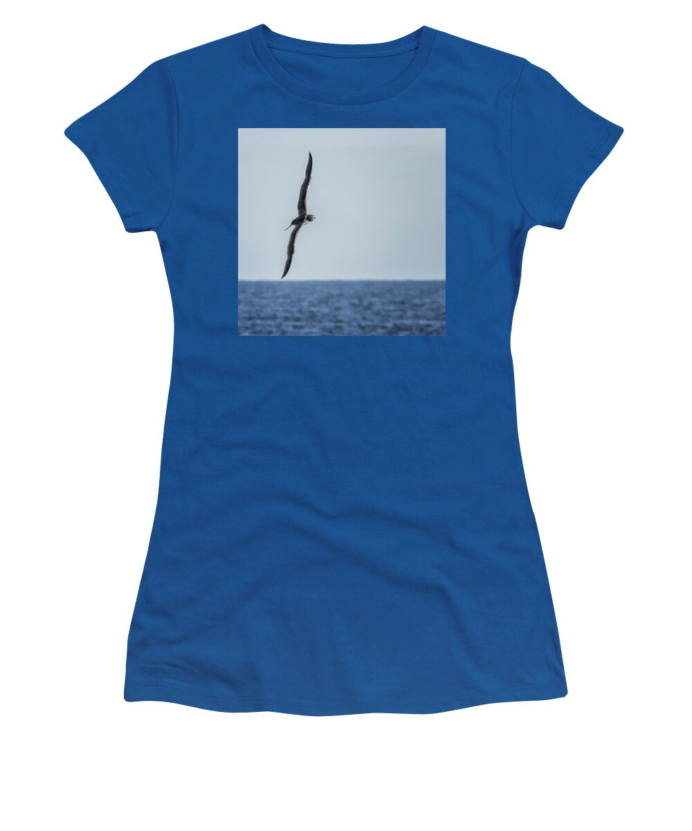 Masked Booby Women's T-Shirt featuring the photograph Immature Masked Booby, No. 5 sq by Belinda Greb