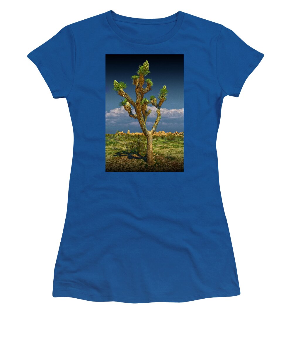 California Women's T-Shirt featuring the photograph Lone Joshua Tree in Joshua Tree National Park by Randall Nyhof