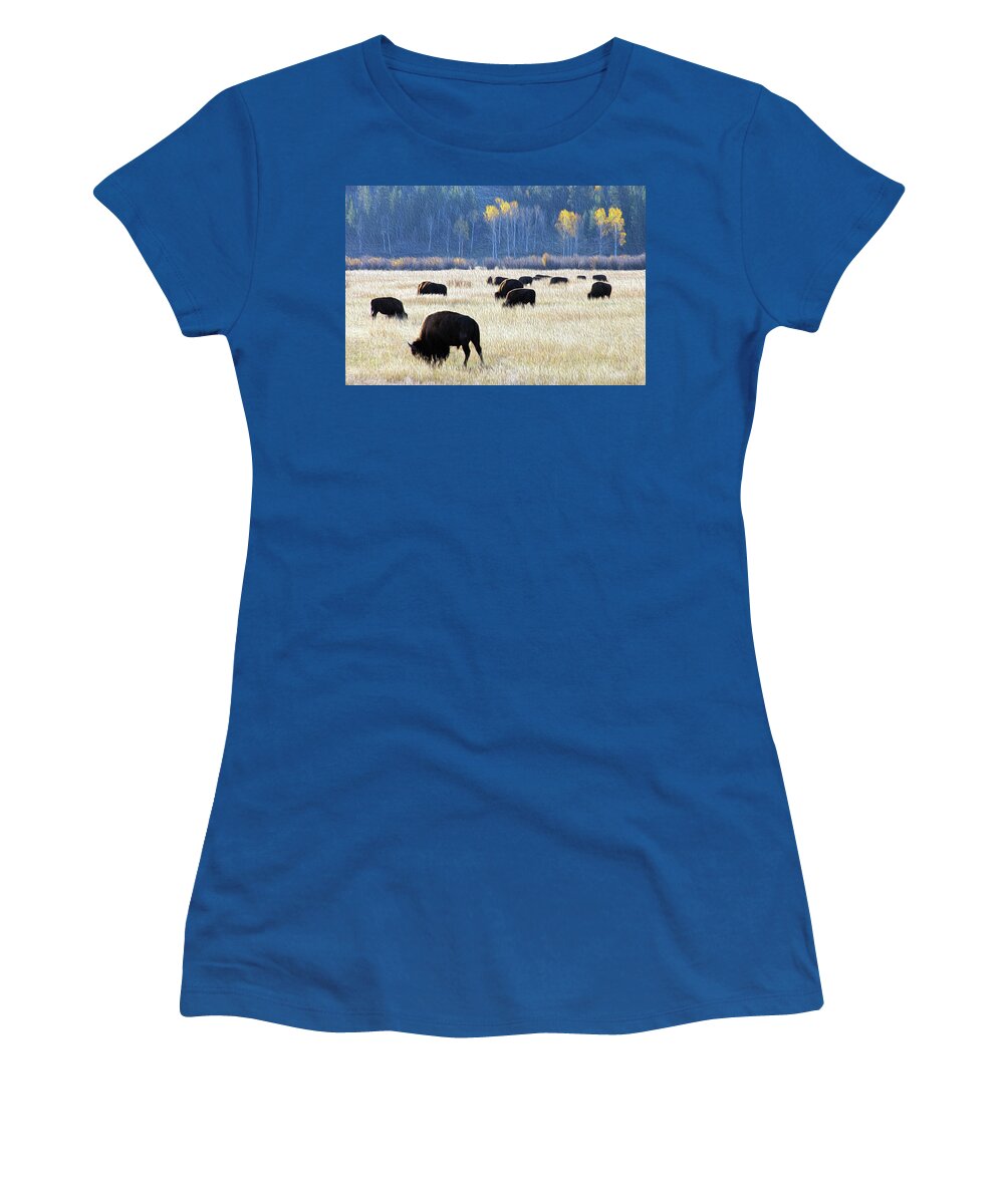 Bison Women's T-Shirt featuring the photograph Painting of Grazing Bison by Robert Carter