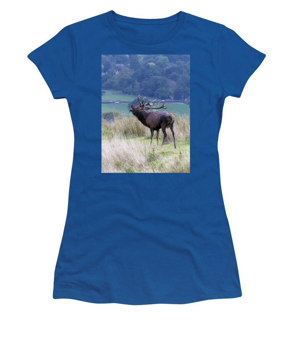 Red Deer Stag Women's T-Shirt featuring the photograph Red deer stag calling by Phil Banks