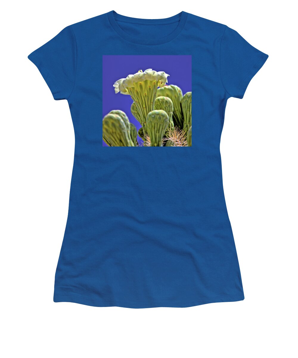 Cactus Women's T-Shirt featuring the photograph Saguaro Cactus Blossom by Bob Falcone