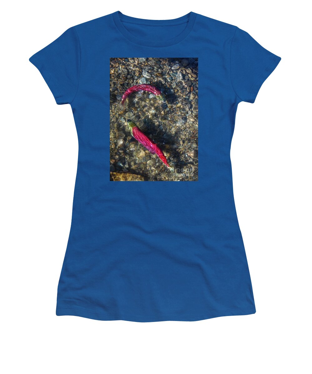 Adams River Women's T-Shirt featuring the photograph Sockeye Mate Selection by Nancy Gleason