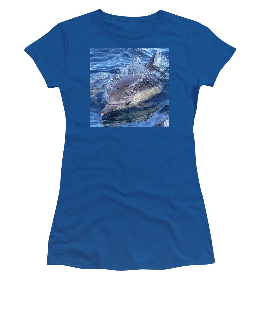 Bottlenose Dolphin Women's T-Shirt featuring the photograph Streamlined Bottlenose Dolphin by Loriannah Hespe