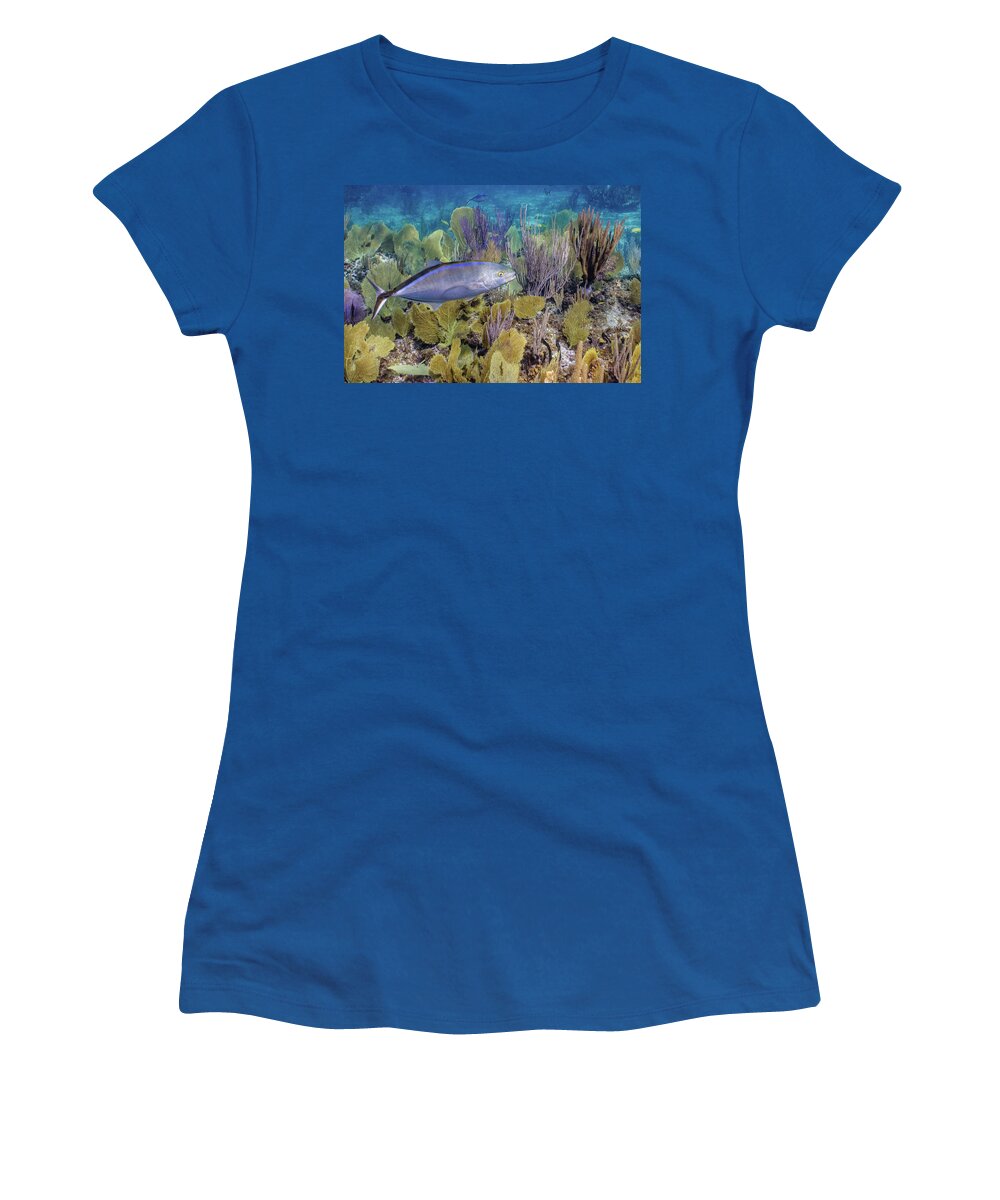 Animals Women's T-Shirt featuring the photograph The Bar Crossing by Lynne Browne