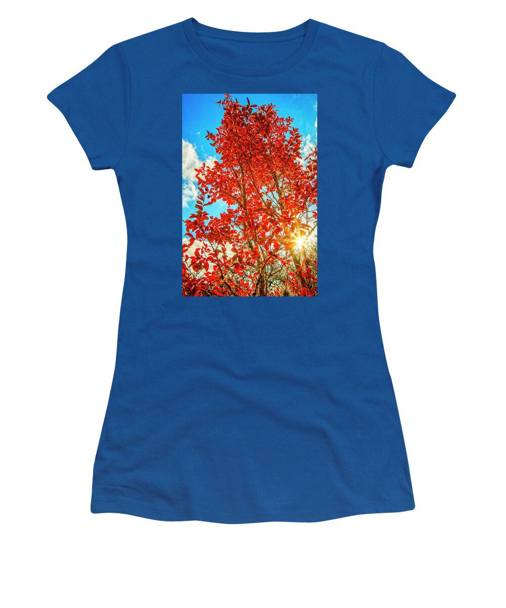 Texas Hill Country Women's T-Shirt featuring the photograph The Red Flames of Autumn by Lynn Bauer