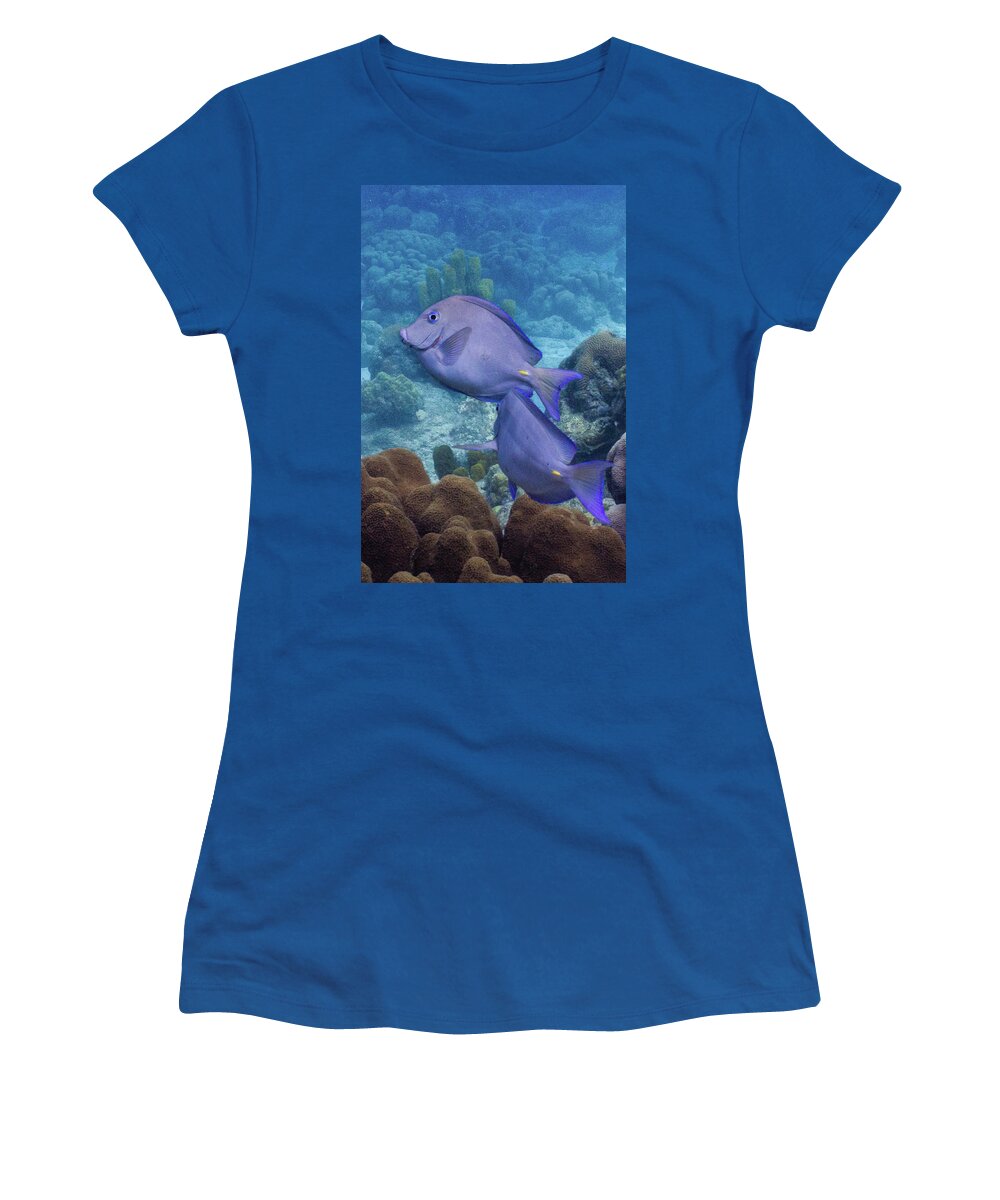 Animals Women's T-Shirt featuring the photograph This Way by Lynne Browne