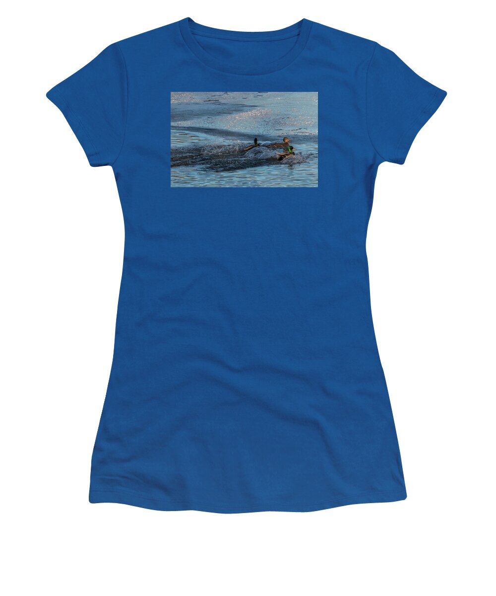 Mallard Women's T-Shirt featuring the photograph Three Mallard Splash by Patti Deters