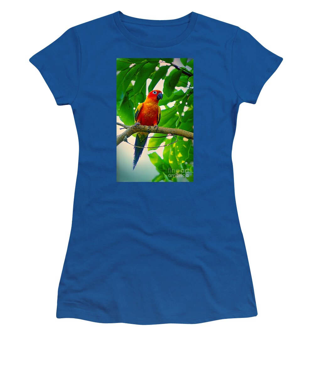 Parakeet Women's T-Shirt featuring the photograph Tropical Jungle Parakeet by Ian Gledhill