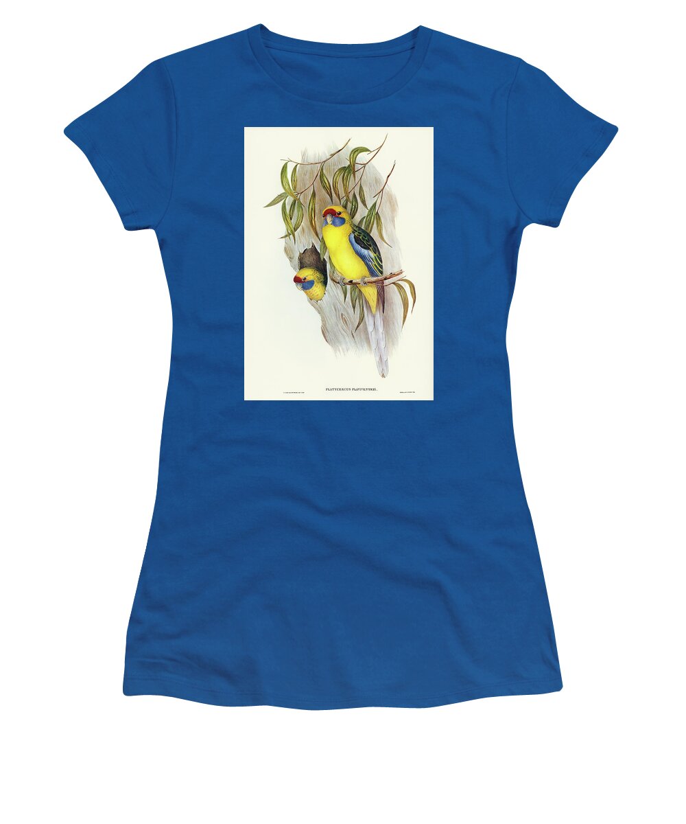 Parakeet Women's T-Shirt featuring the mixed media Yellow-bellied Parakeet by World Art Collective