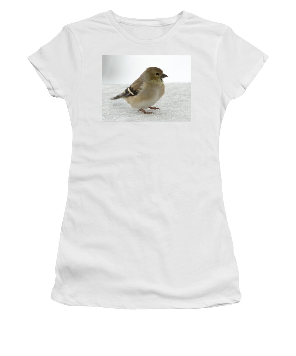 Jan Holden Women's T-Shirt featuring the photograph American Goldfinch in the Snow #2 by Holden The Moment
